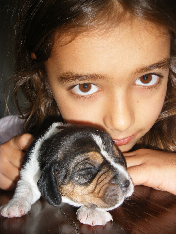 cuccioli amelie-17